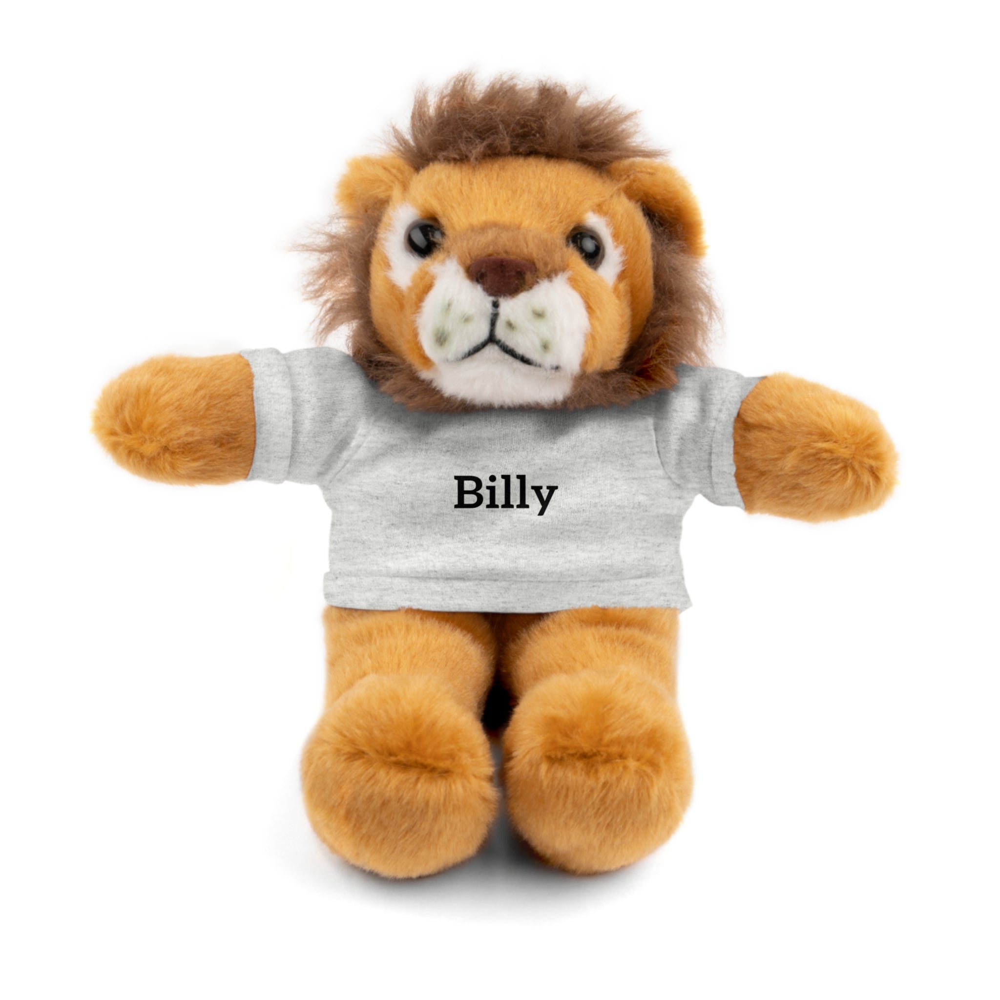 Personalized Stuffed Animal with Tee — Custom Name Plush