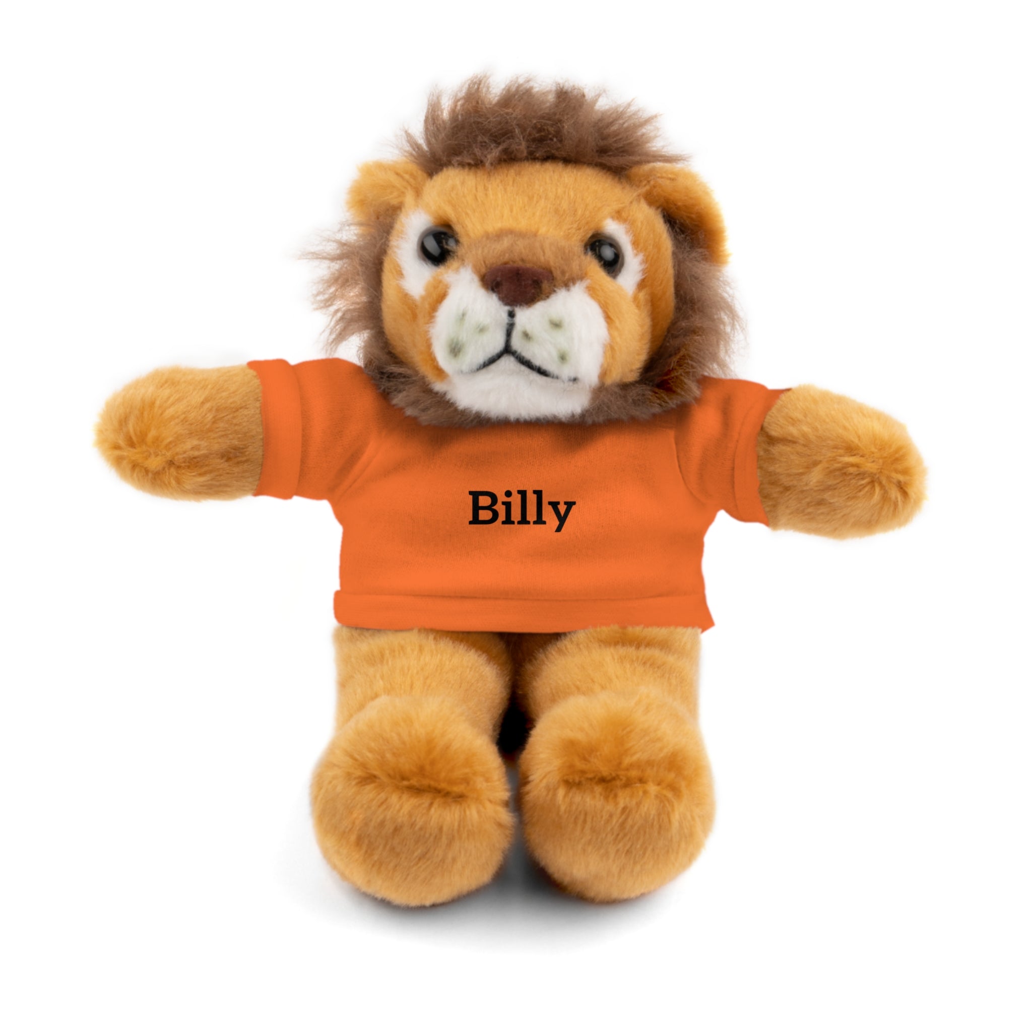 Personalized Stuffed Animal with Tee — Custom Name Plush