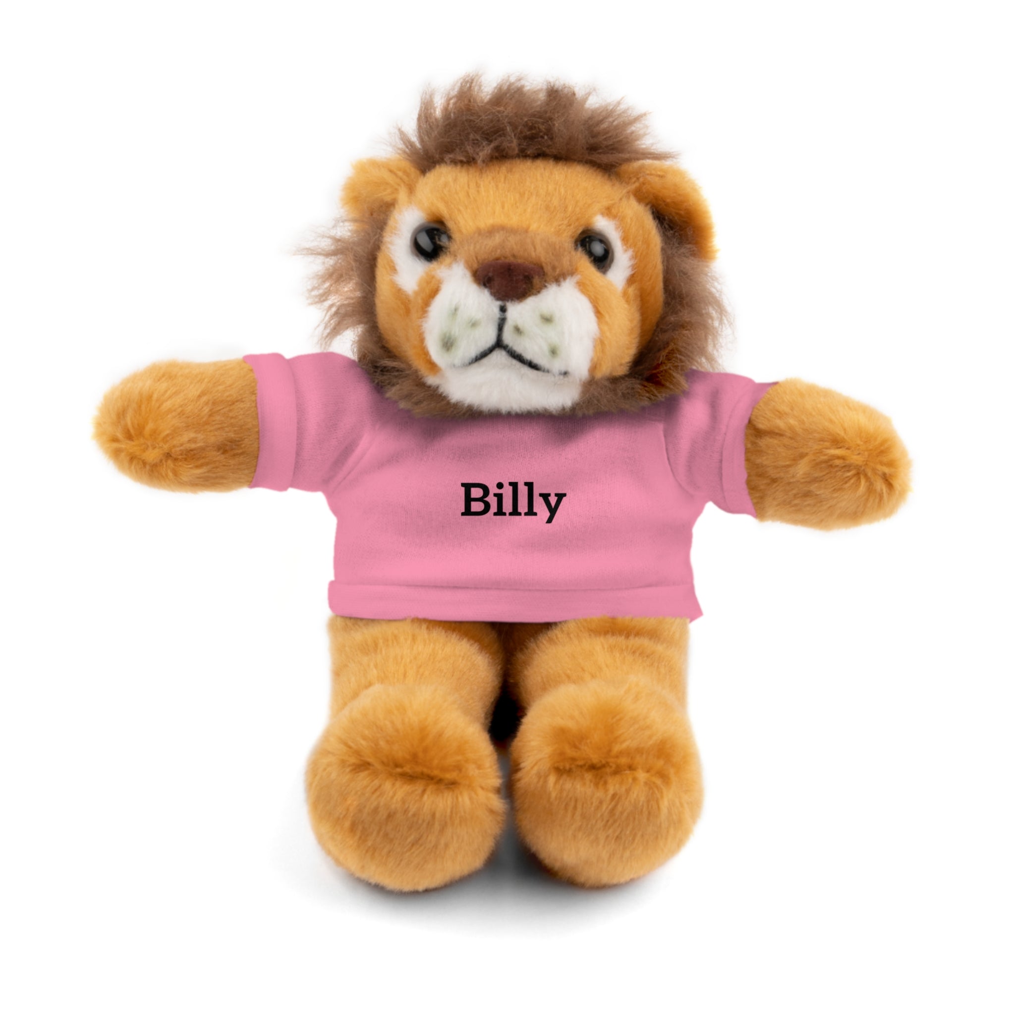 Personalized Stuffed Animal with Tee — Custom Name Plush