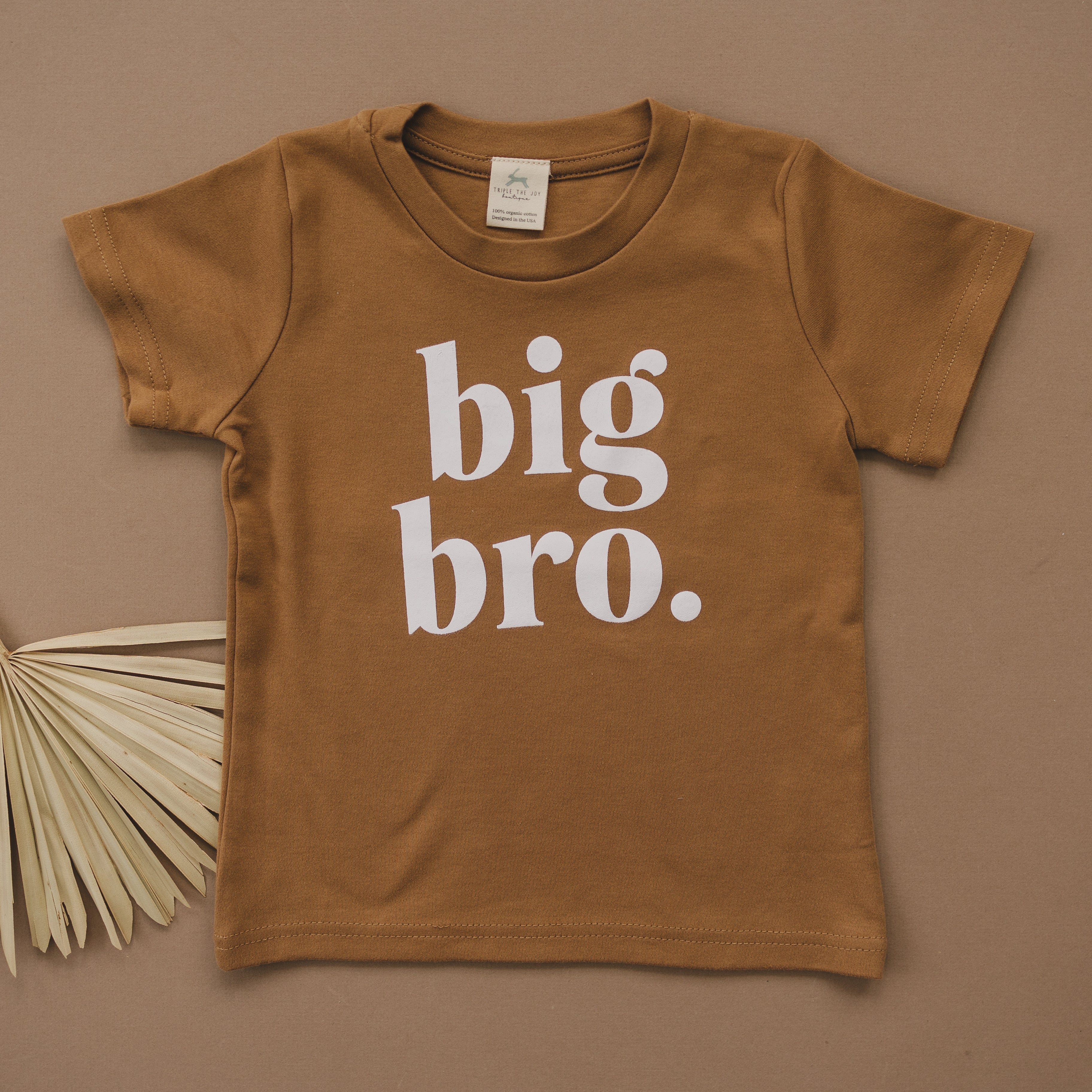 Big Bro Bio-Baumwoll-T-Shirt – weitere Farben