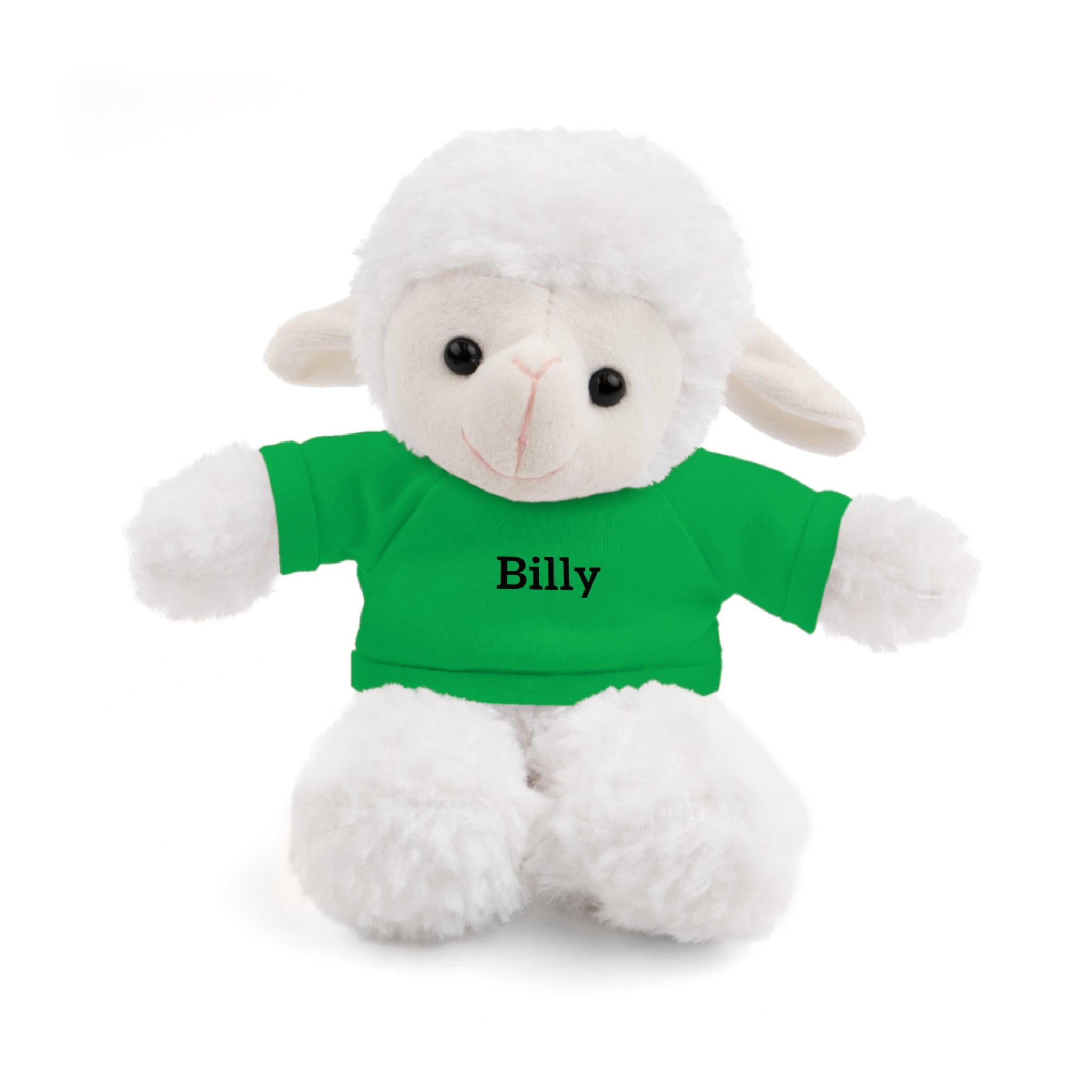 Personalized Stuffed Animal with Tee — Custom Name Plush