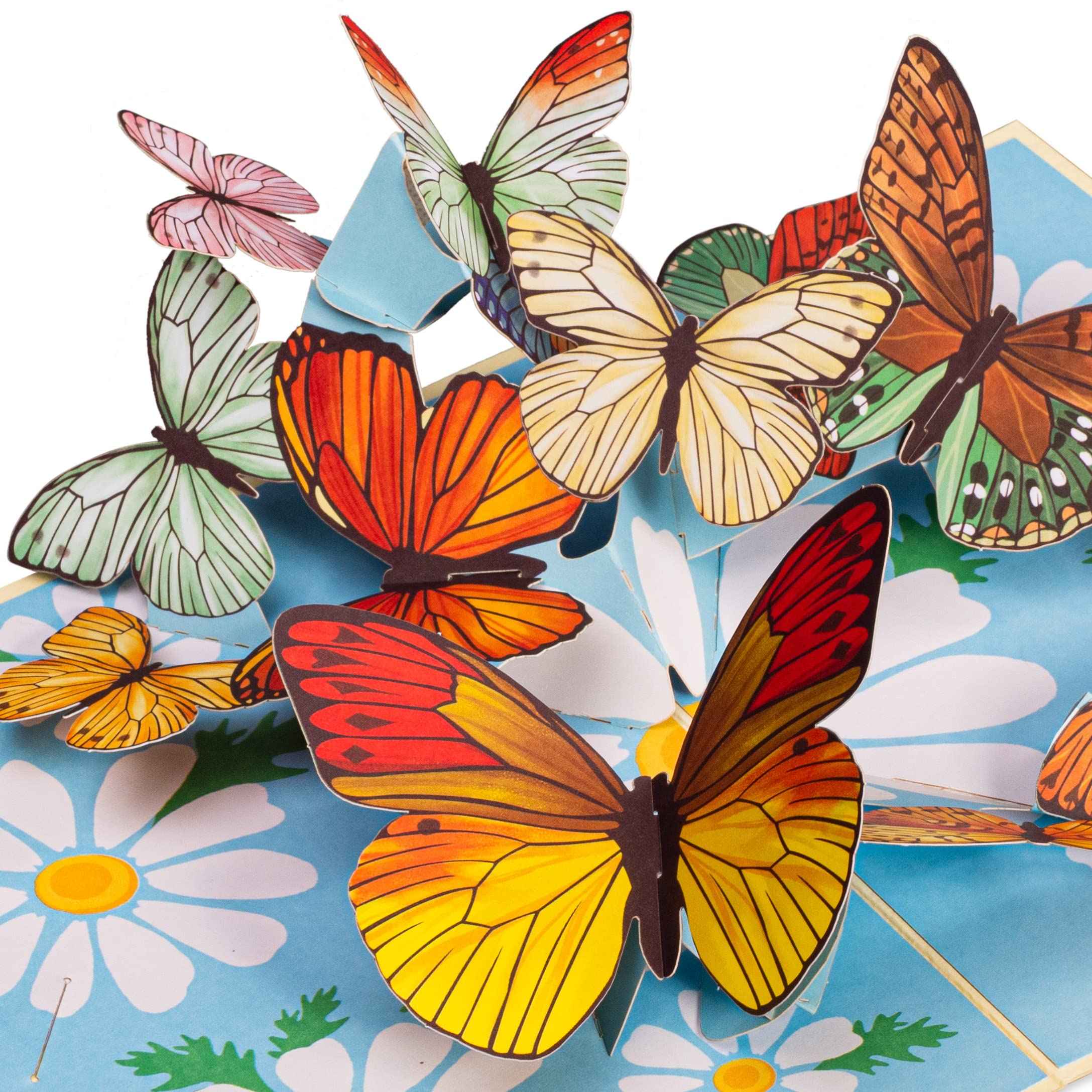 Spring Butterflies 3D Pop Up Card – Eco-Friendly