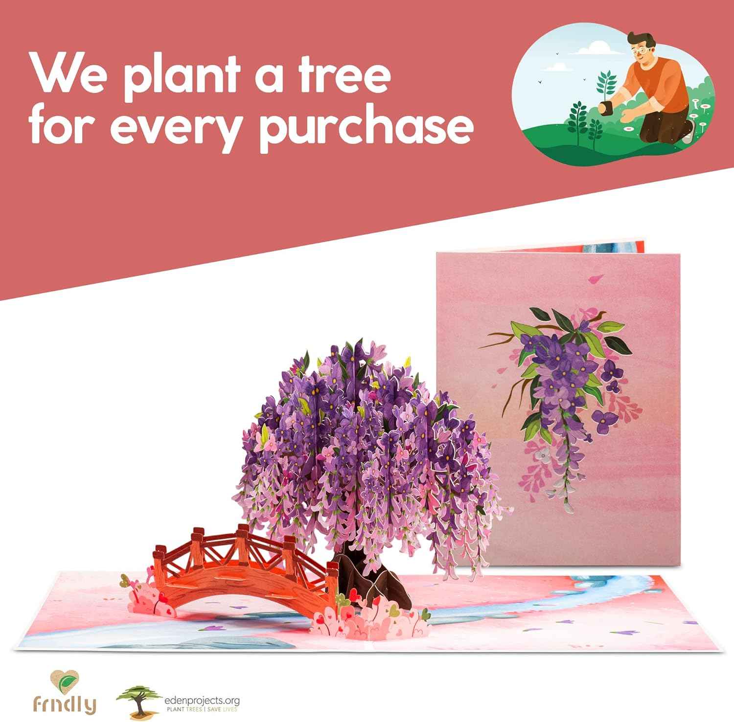 Wisteria 3D Pop Up Card – Eco-Friendly, Made from Recycled Materials