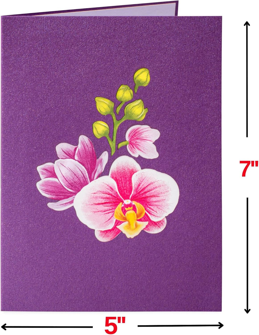 Muttertag Orchideen 3D Pop-Up Karte – 12,7 x 17,8 cm