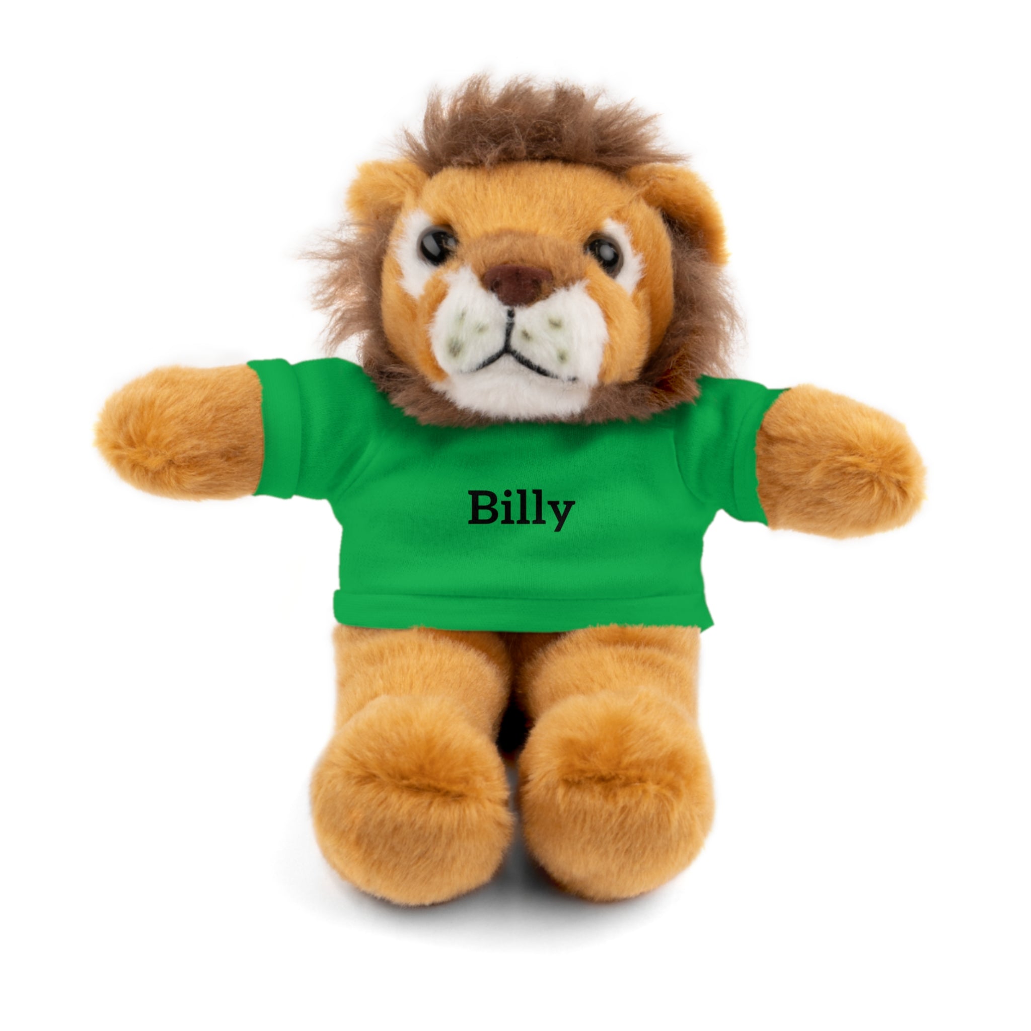 Personalized Stuffed Animal with Tee — Custom Name Plush