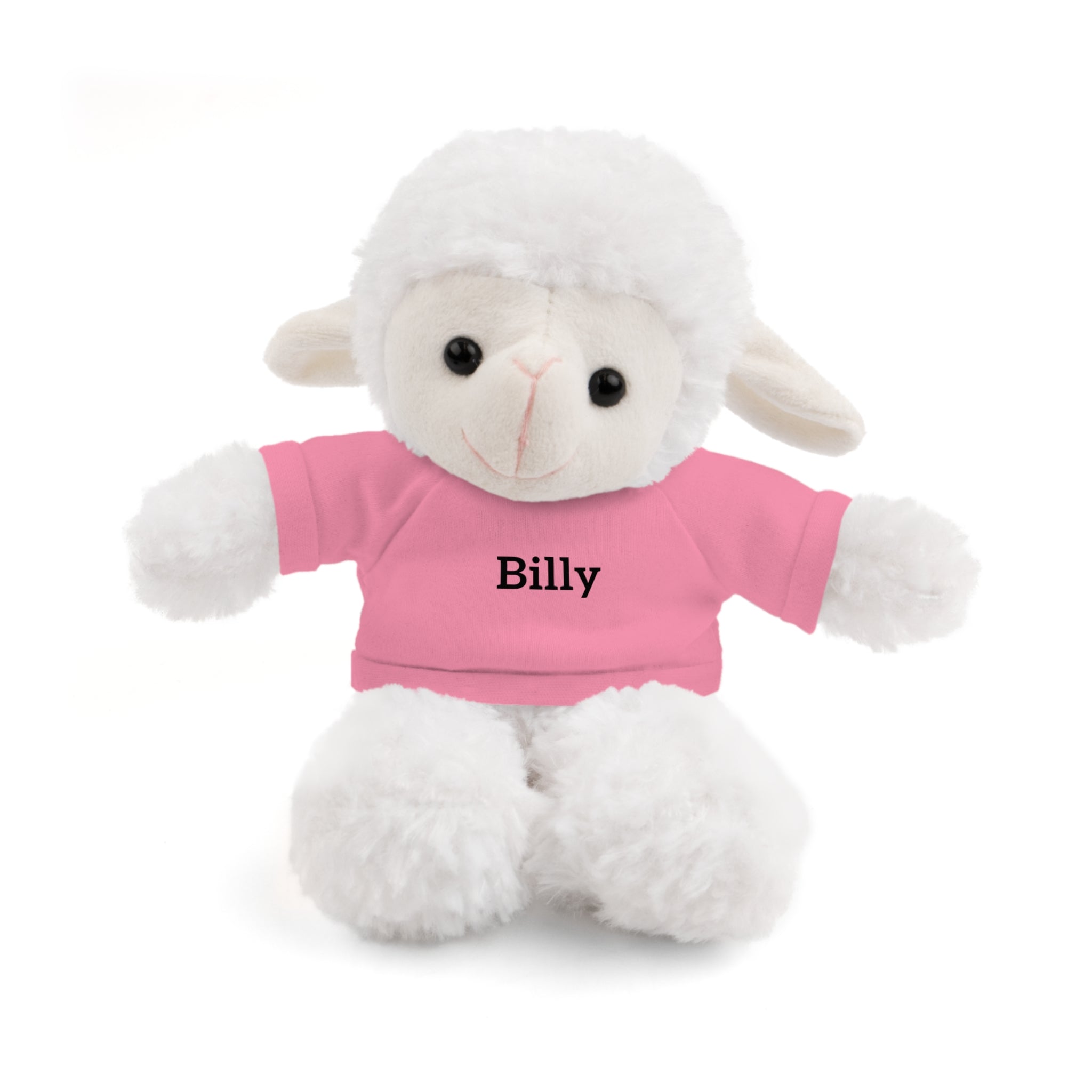 Personalized Stuffed Animal with Tee — Custom Name Plush