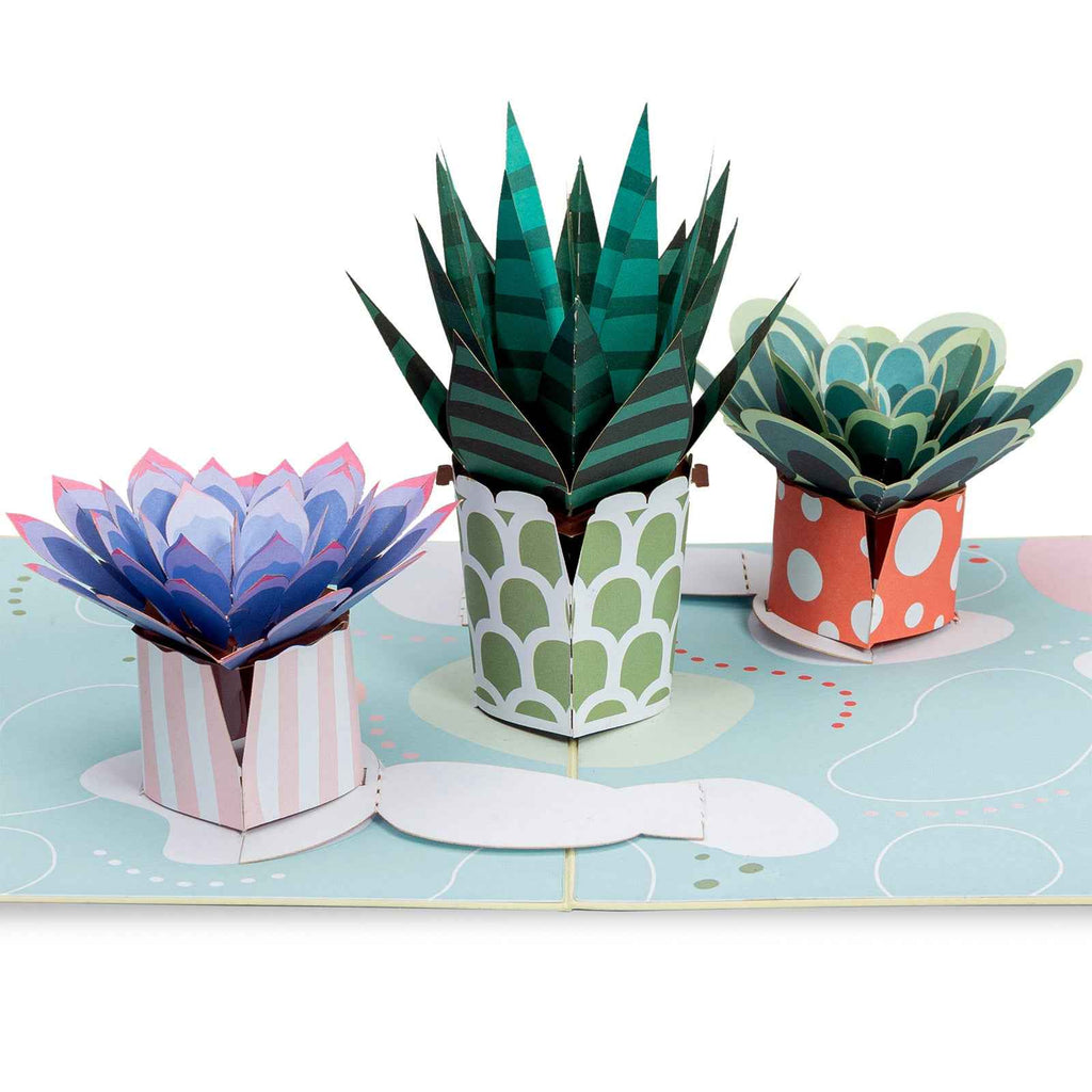 Sukkulenten Pop-Up-Karte