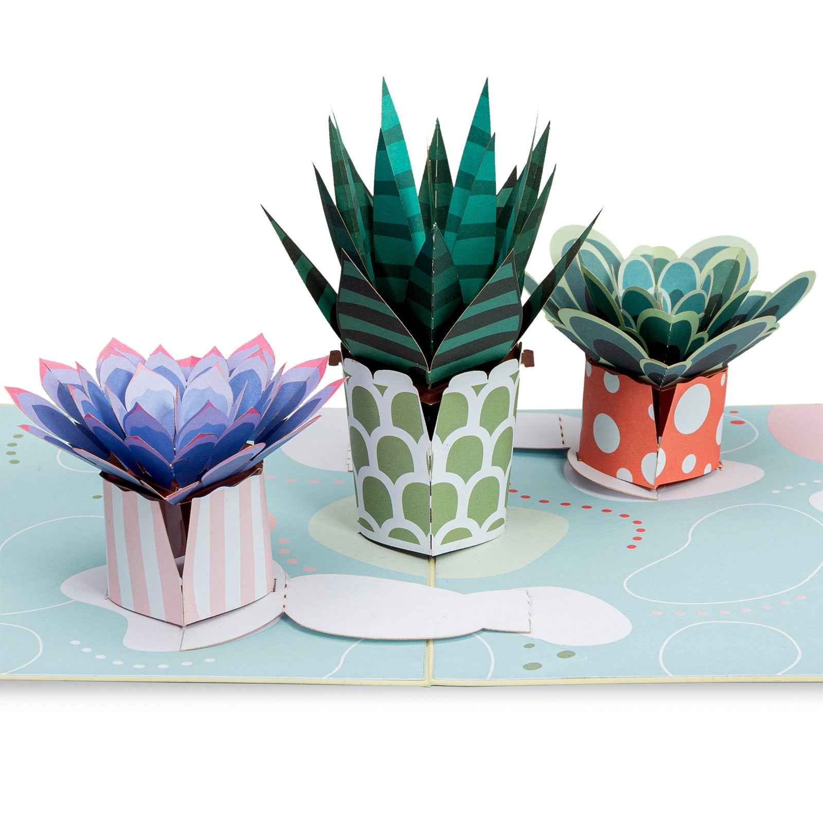 Sukkulenten Pop-Up-Karte