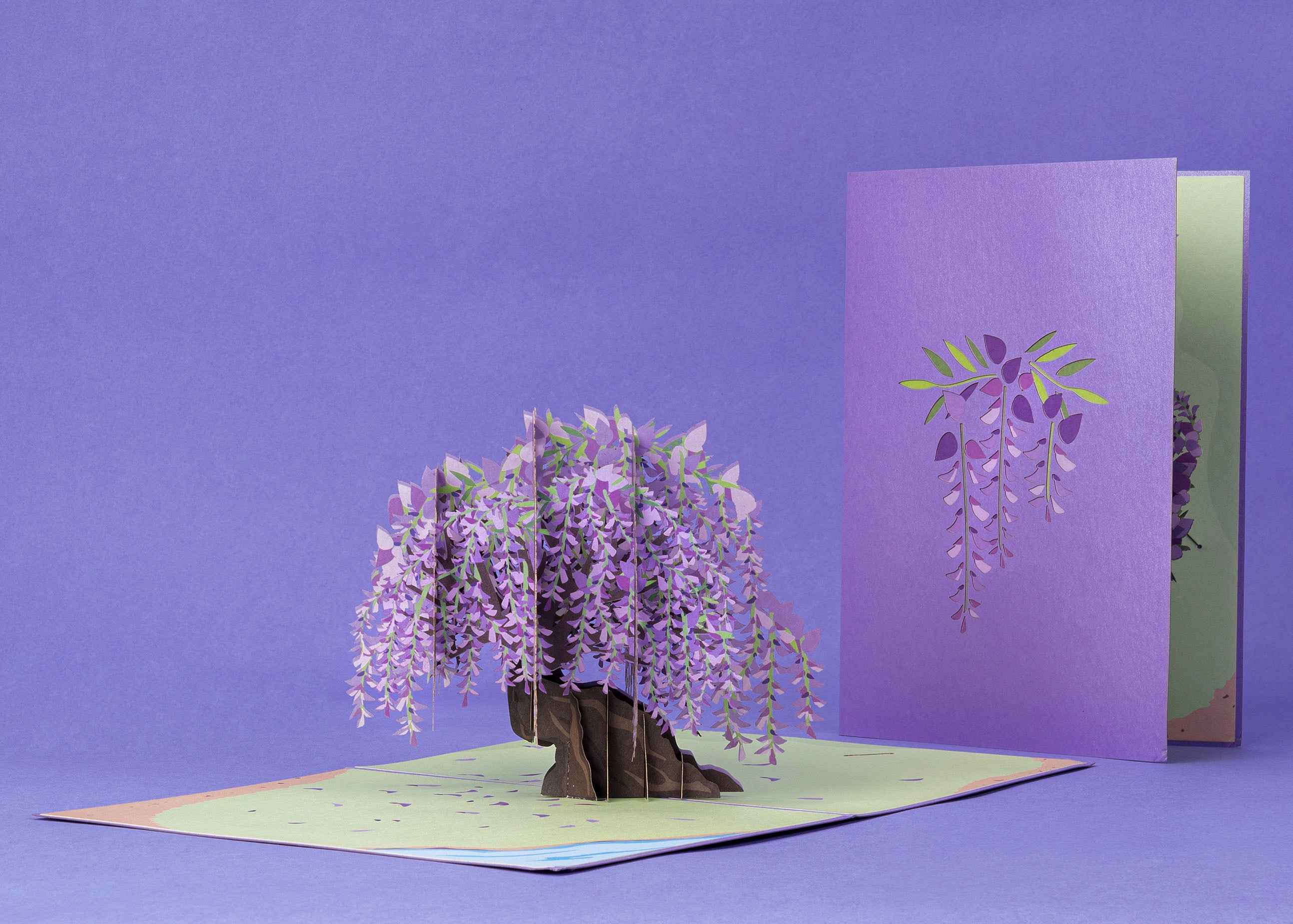 Pop-Up-Karte Glyzinienbaum